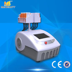 중국 기계 Lumislim 일본 미츠비시를 체중을 줄이는 두 배 파장 650nm 980nm Lipo 레이저 협력 업체