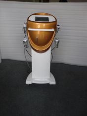 중국 초음파 Cavitation Tripolar RF 아름다움 장비 제조업체 스탠드 협력 업체